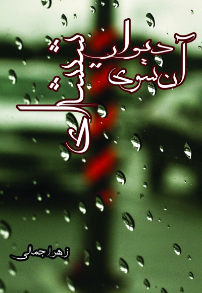 آن سوی دیوار شیشه ای